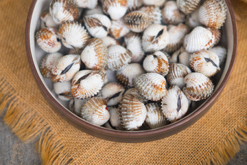 Boil cockle in dish.