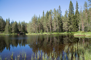 Obraz premium Lihapyörre