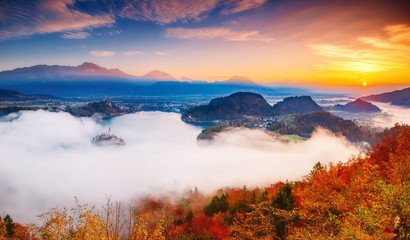 Aerial view of the island on alpine lake Bled. Location place Julian Alps, Slovenia, Europe. © Leonid Tit