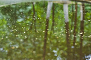rainy weather, puddle, background