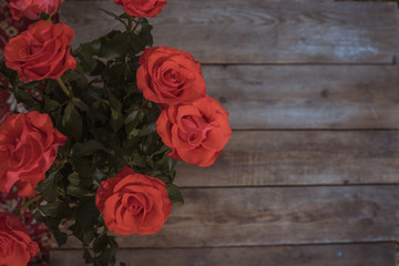 Beautiful red roses on wooden background. Copy space