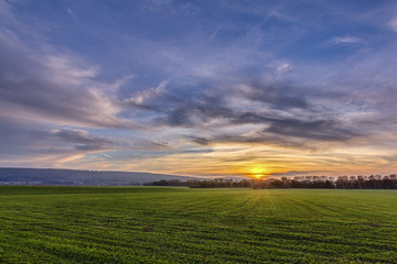 Obraz premium Vivid spring sunset scene. Landscape with large green field and beautiful clouds. Warm, peaceful, quiet.