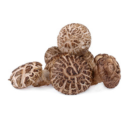 Fresh Shiitake mushroom on white background
