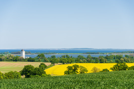 Rapsfeld an der K&uuml;ste