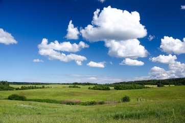 Fototapeta premium Summer landscape with the meadows of green grass on the hills and clouds
