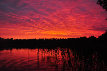 Sunset on the lake with beautiful red skies. Reeds on the coast. Summer rural landscape.