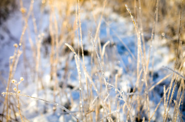 Fototapeta premium frosty snow landscape at sunny day