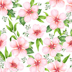 Seamless pattern with blossoming apple tree flowers on white background. Elegance vintage endless texture in watercolor style .