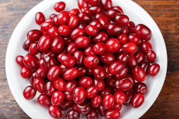 dogwood in a plate space for text