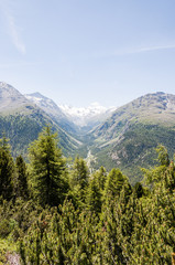 Obraz premium Pontresina, Val Roseg, Roeggletscher, Sellagletcher, Piz Sella, Piz Bernina, Sellagruppe, Bernina, Wanderweg, Oberengadin, Alpen, Sommer, Graubünden, Schweiz