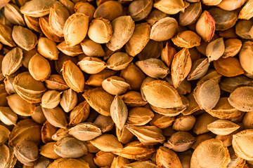 Apricot seeds background