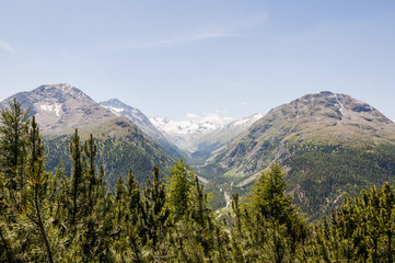 Obraz premium Pontresina, Val Roseg, Roseggletscher, Piz Sella, Piz Bernina, Val Bernina, Sellagletscher, Bernina, Wanderweg, Oberengadin, Alpen, Graubünden, Sommer, Schweiz