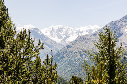 Pontresina, Piz Pal&uuml;, Diavolezza, Persgletscher, Piz Bernina, Morteratsch, Gletscher, Wanderweg, Bernina, Val Bernina, Berninamassiv, Oberengadin, Alpen, Graub&uuml;nden, Sommer, Schweiz