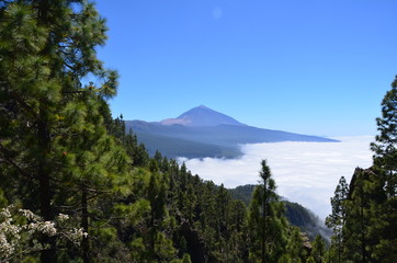 Teneriffa 2018