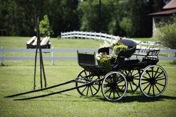 Fototapeta premium Alte Kutsche