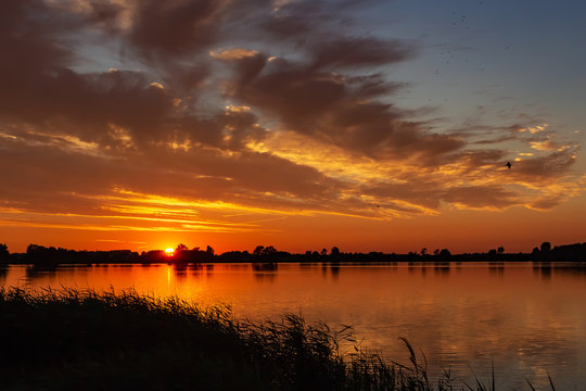 Beautiful clouds over the cane during sunset in lake Zoetermeerse plas