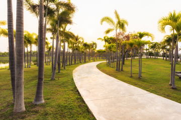 Fototapeta na wymiar Green garden with jogging track at the park, Scenery view in morning at the park with concrete road