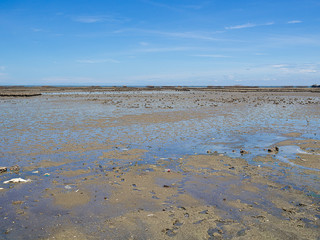 the beach during low tide..