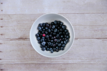 White Bowl with Blueberries One Being Different Unique