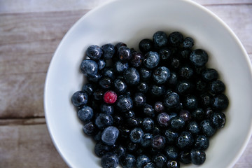 White Bowl with Blueberries One Being Different Unique