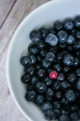 White Bowl with Blueberries One Being Different Unique