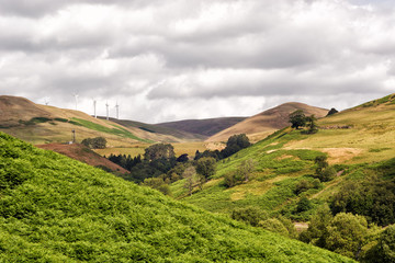 Scottish hillside, picturesque view over Glen Devon. Wind turbines at a distance