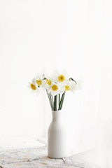 beautiful amazing yellow daffodils in modern white vase on background of morning light from window