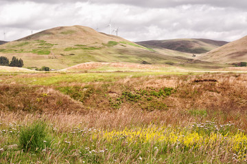 Fototapeta premium View over hills in Glen Devon. Wind turbines at a distance