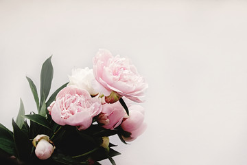lovely peony pink  flowers on rustic white background, space for text, celebration greeting card concept © sonyachny