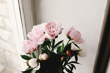lovely peony pink and white flowers on background of window light, sweet home