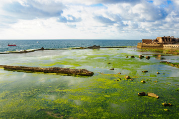 Templar Fortress in Acre