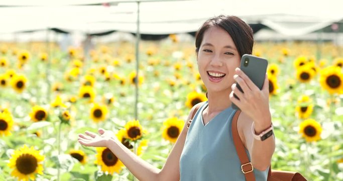 Woman taking selfie on cellphone at sunflower field