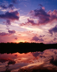 Sunrise At West Lake In The Everglades