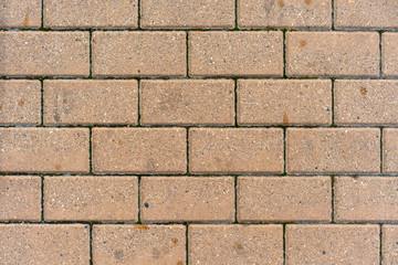 Fototapeta premium Beautiful background of multi-colored tiles.