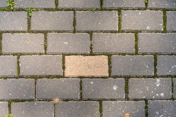 Beautiful background of multi-colored tiles.