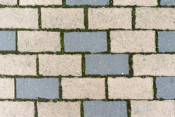 Beautiful background of multi-colored tiles.