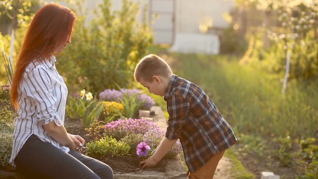 Son gives mom a flower for planting in the garden