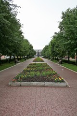 Всё в переди