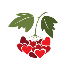 Rowan, viburnum, love, heart, logo, sign, red berry