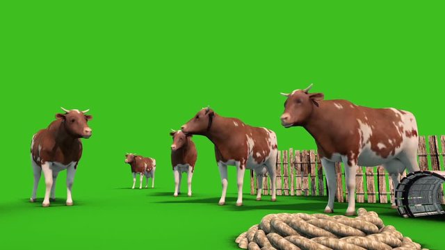 Herd of Cows Farm Fence Animals Down Green Screen 3D Rendering Animation