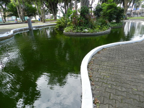 Bela Água Verde