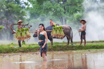 Lifestyle of rural Asian women in the field countryside thailand