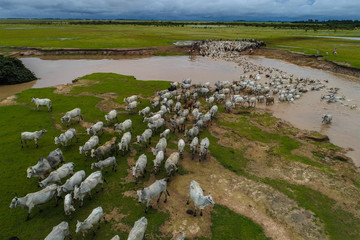  landscapes with riders, horses and mules at sunrise and sunset in the eastern plains of Colombia; llaneros performing their tasks apart from livestock and grazing