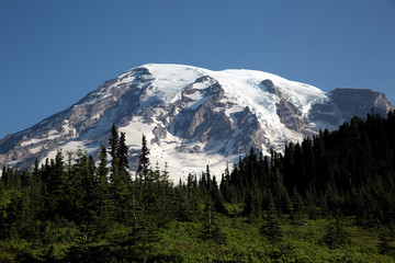 View at Paradise, Mt Rainier