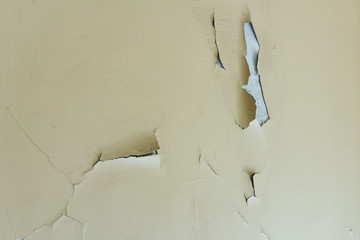 Background of an old wall with a peeled oil paint of beige color in a bright room inside the house