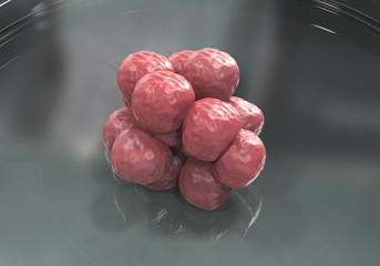 Human embryo in Petri dish, early stage, artificial fertilization concept, 3D illustration