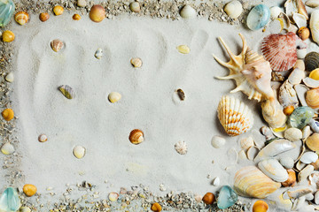 Summer beach. Sand and sea  shells, summer concept.