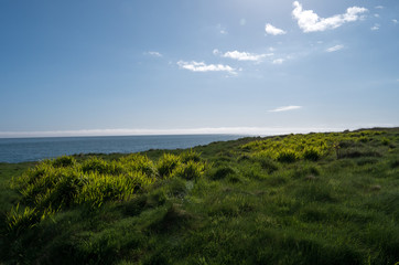 Coast Landscape Ierland