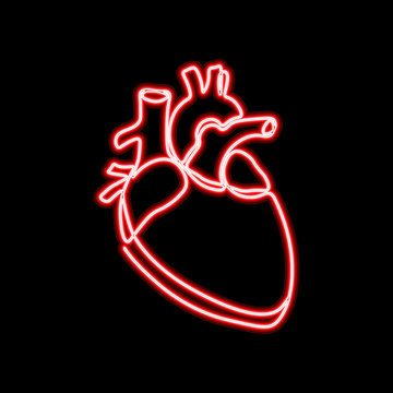 Neon sign single continuous line art anatomical human heart silhouette. Healthy medicine concept design neon glow red one sketch outline light banner vector illustration
