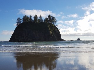Reflections on Second Beach National Park in Washington